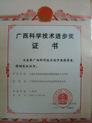 2010年 2010年度廣西區(qū)科學技術進步三等獎