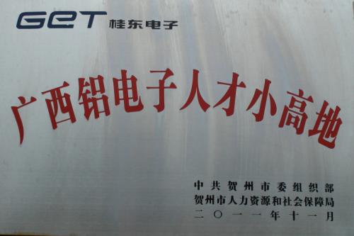 2011年 廣西鋁電子人才小高地